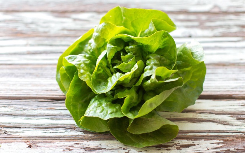 Organic Green Butter Lettuce J. E. Perry Farms via Veritable